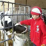 Anitas Landerlebnis Daire