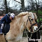 Anitas Landerlebnis Daire