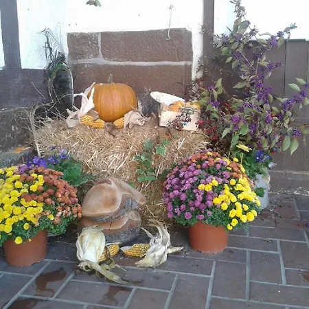 公寓 Anitas Landerlebnis 维岑豪森