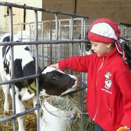 Anitas Landerlebnis 公寓