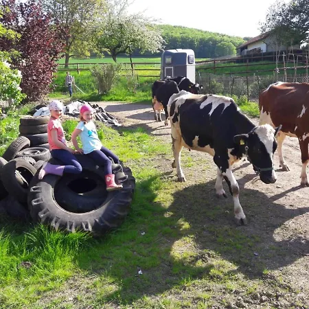 公寓 Anitas Landerlebnis *