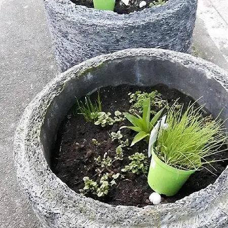 Anitas Landerlebnis 公寓 维岑豪森