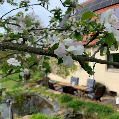 Anitas Landerlebnis 公寓