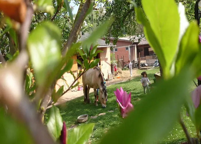 Apartman Anitas Landerlebnis