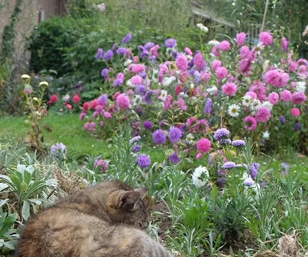 Apartman Anitas Landerlebnis *