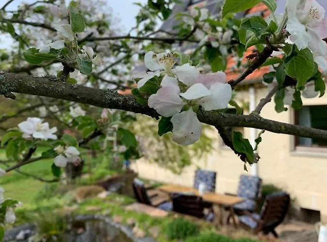 Anitas Landerlebnis Apartman