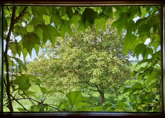 Anitas Landerlebnis * Witzenhausen